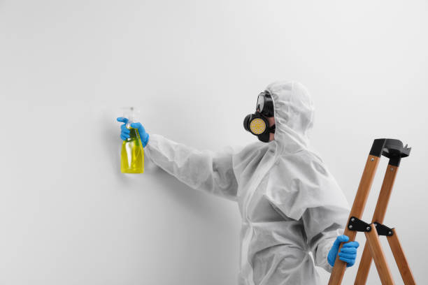 Best Forensic Mold Investigation  in Palmview, TX